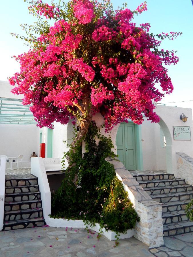 나오우사 Astoria Paros 아파트 외부 사진