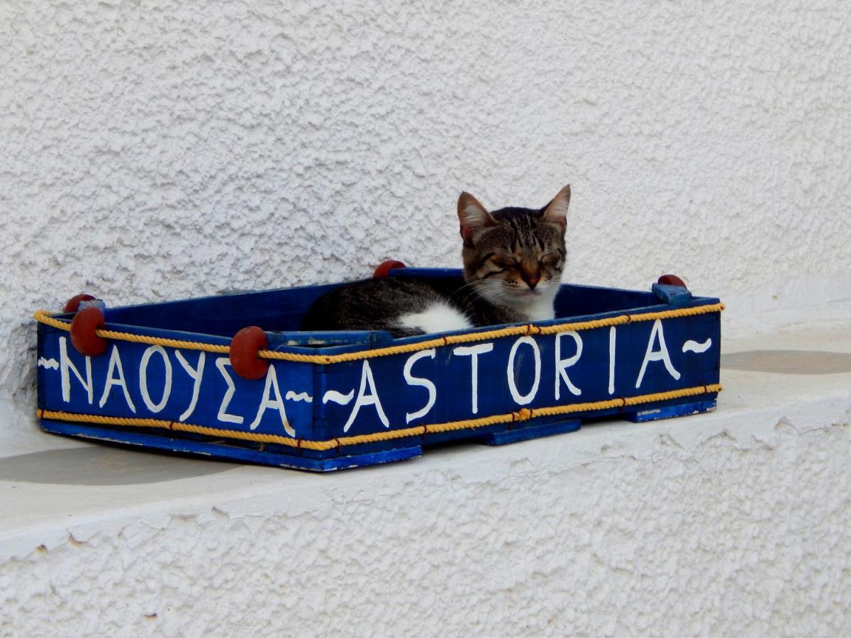 나오우사 Astoria Paros 아파트 외부 사진